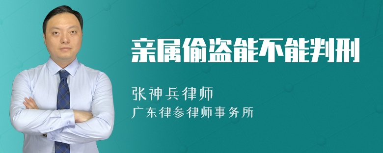 亲属偷盗能不能判刑