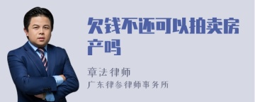 欠钱不还可以拍卖房产吗