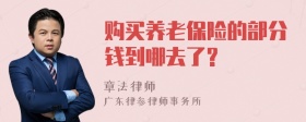 购买养老保险的部分钱到哪去了?