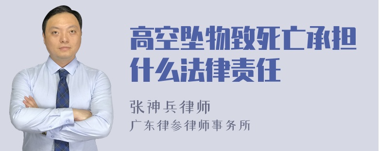 高空坠物致死亡承担什么法律责任