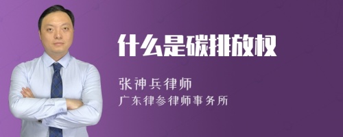 什么是碳排放权