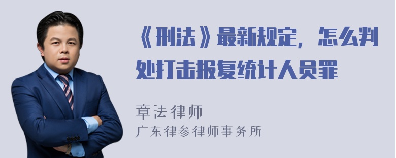 《刑法》最新规定，怎么判处打击报复统计人员罪