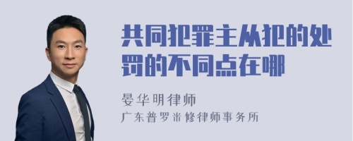 共同犯罪主从犯的处罚的不同点在哪