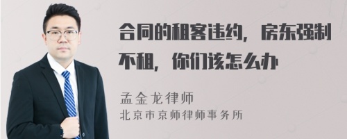 合同的租客违约，房东强制不租，你们该怎么办