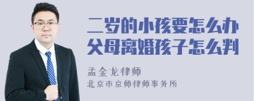 二岁的小孩要怎么办父母离婚孩子怎么判