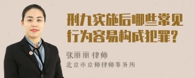 刑九实施后哪些常见行为容易构成犯罪?