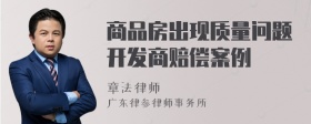 商品房出现质量问题开发商赔偿案例