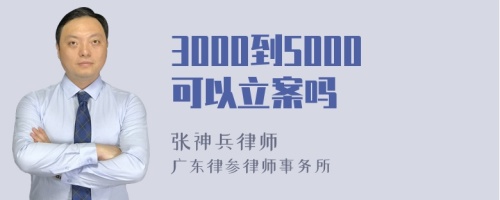 3000到5000可以立案吗