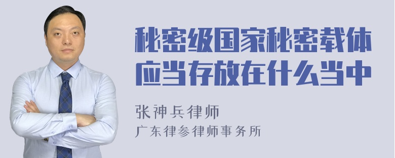 秘密级国家秘密载体应当存放在什么当中