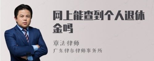 网上能查到个人退休金吗