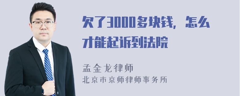 欠了3000多块钱，怎么才能起诉到法院