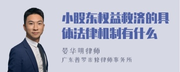 小股东权益救济的具体法律机制有什么