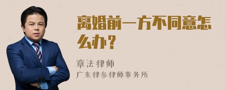 离婚前一方不同意怎么办？