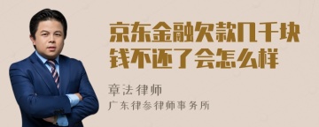 京东金融欠款几千块钱不还了会怎么样