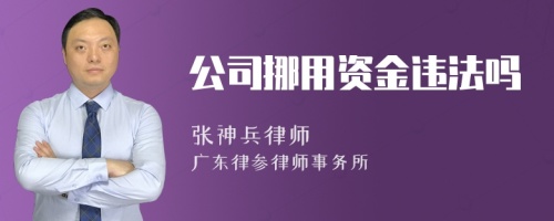 公司挪用资金违法吗