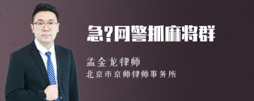 急?网警抓麻将群