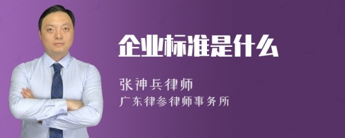 企业标准是什么