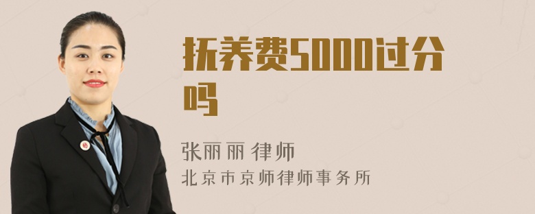 抚养费5000过分吗