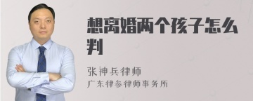 想离婚两个孩子怎么判