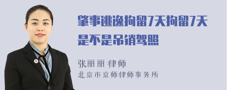 肇事逃逸拘留7天拘留7天是不是吊销驾照