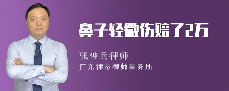 鼻子轻微伤赔了2万