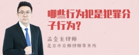 哪些行为犯是犯罪分子行为？