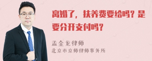 离婚了，扶养费要给吗？是要分开支付吗？