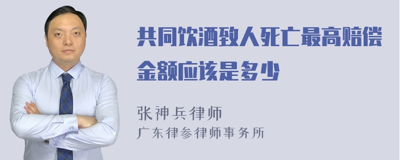 共同饮酒致人死亡最高赔偿金额应该是多少