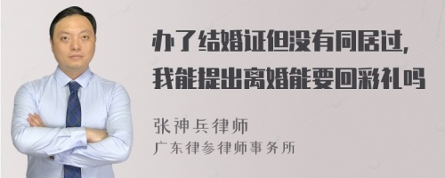 办了结婚证但没有同居过，我能提出离婚能要回彩礼吗