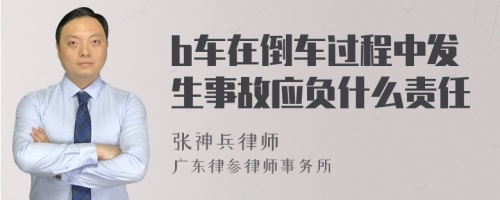 b车在倒车过程中发生事故应负什么责任