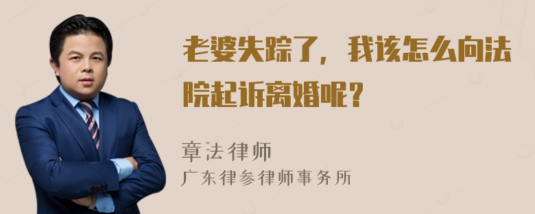 老婆失踪了，我该怎么向法院起诉离婚呢？