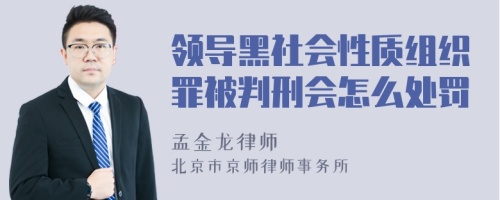 领导黑社会性质组织罪被判刑会怎么处罚