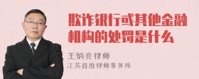 欺诈银行或其他金融机构的处罚是什么