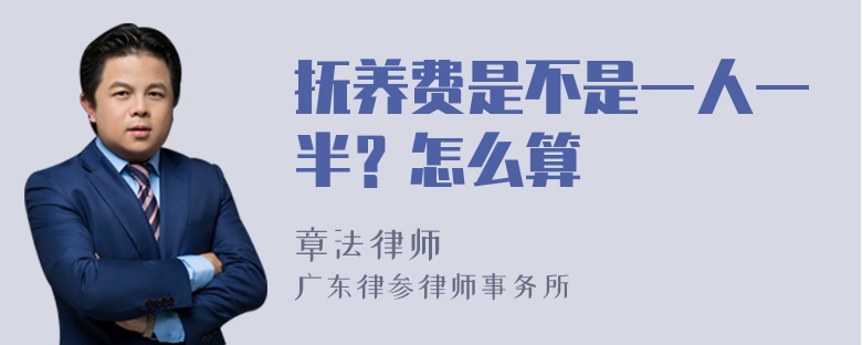 抚养费是不是一人一半？怎么算