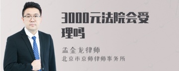 3000元法院会受理吗