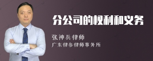 分公司的权利和义务