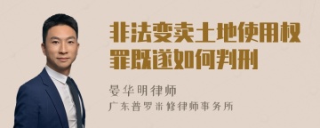 非法变卖土地使用权罪既遂如何判刑