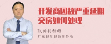 开发商因故严重延期交房如何处理