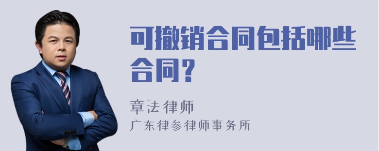 可撤销合同包括哪些合同？