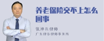 养老保险交不上怎么回事