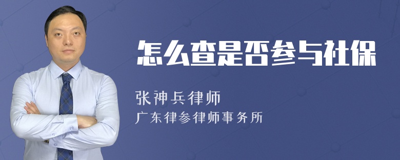 怎么查是否参与社保