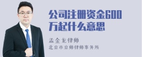 公司注册资金600万起什么意思