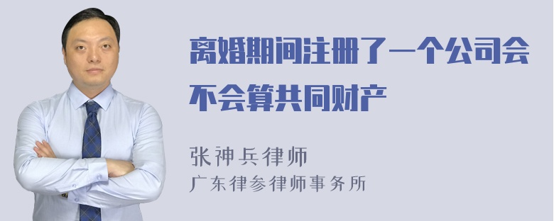 离婚期间注册了一个公司会不会算共同财产