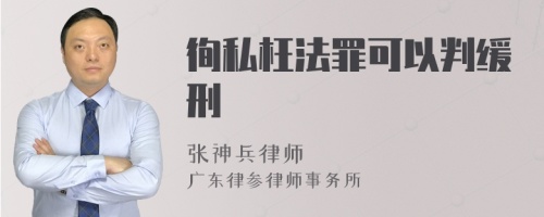 徇私枉法罪可以判缓刑