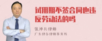 试用期不签合同也违反劳动法的吗