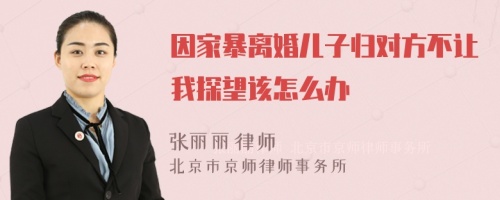 因家暴离婚儿子归对方不让我探望该怎么办