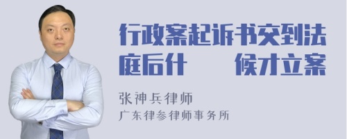 行政案起诉书交到法庭后什麼時候才立案