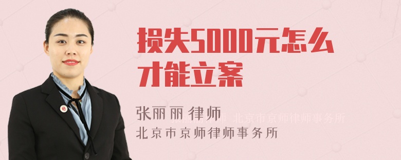 损失5000元怎么才能立案