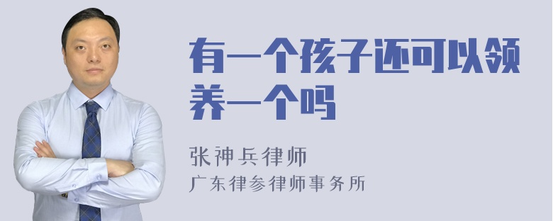 有一个孩子还可以领养一个吗