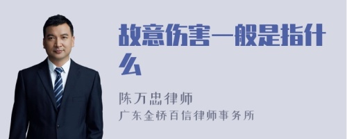 故意伤害一般是指什么